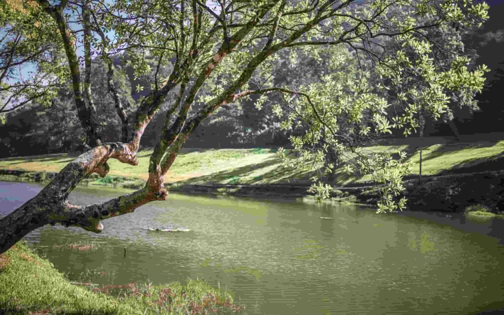 ảnh thiên nhiên đẹp