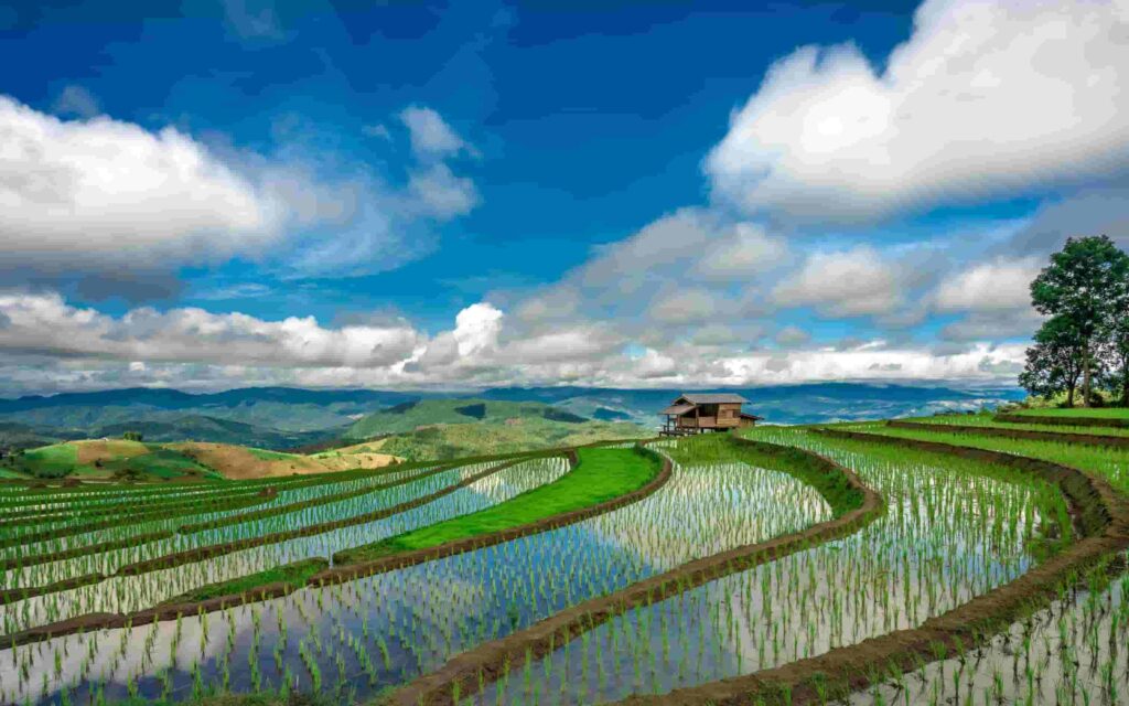 ảnh cảnh đẹp thiên nhiên